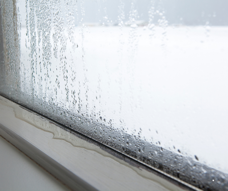Humidité dans une maison : causes, solutions et travaux à prévoir